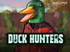 Logo Duck Hunters